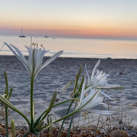 Residence Abba Urci Tertenìa Exteriér fotografie