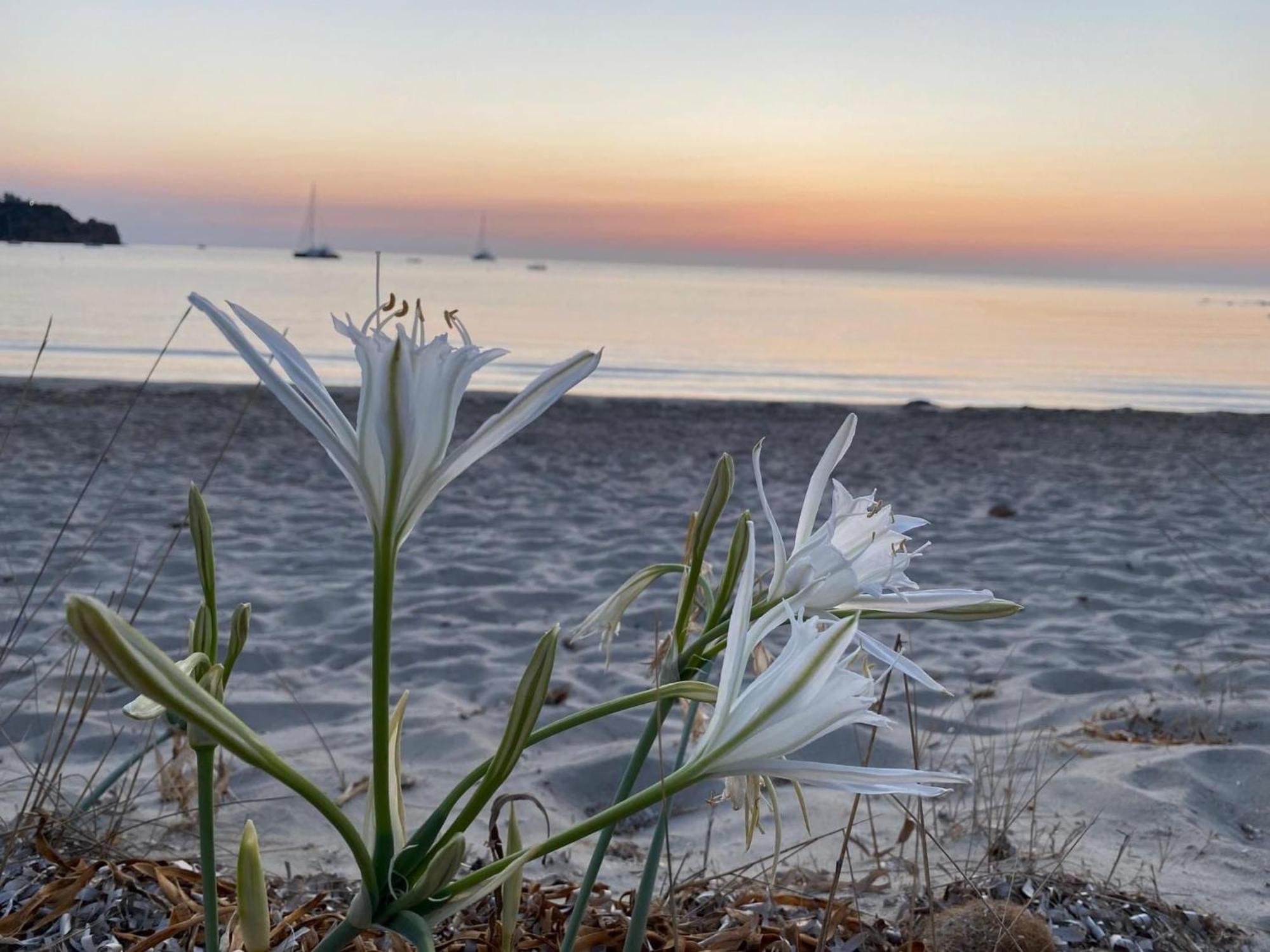 Residence Abba Urci Tertenìa Exteriér fotografie